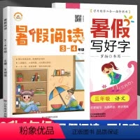[正版]暑假阅读 写好字字帖描红三升四年级语文专项训练强化练 3升4年级暑期阅读练习题每日一练天天练假期课外兴趣阅读