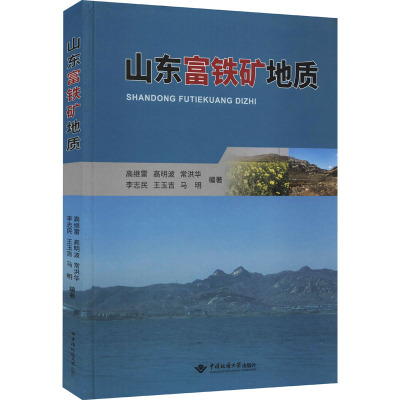 山东富铁矿地质