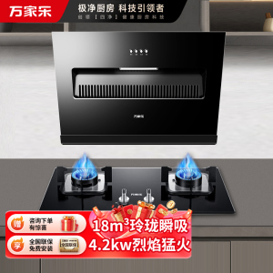 万家乐 油烟机灶具套餐 烟灶两件套AL031+LAY3 侧吸18立方大吸力油烟机燃气灶套装 天然气