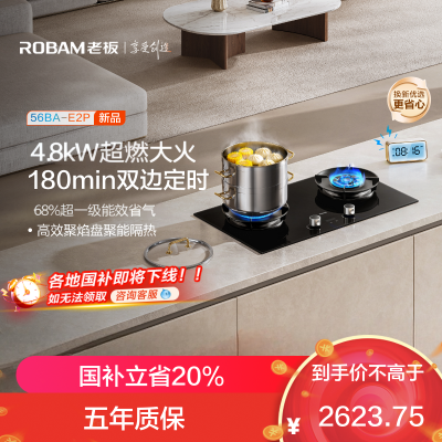 老板(Robam)E2P燃气灶联动定时灶家用厨房炉具配件灶台灶具 4.8kW 68%热效率56BA-E2P 液化气