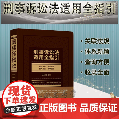 刑事诉讼法适用全指引 王迎龙 主编 中国法制出版社