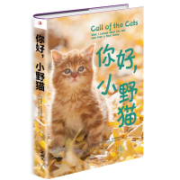 音像你好,小野猫[美]安德鲁·布卢姆菲尔德