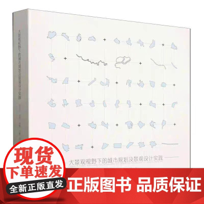 正版 大景观视野下的城市规划及景观设计实践9787561878453 褚俊民天津大学出版社有限责任公司建筑