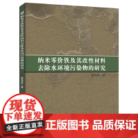 纳米零价铁及其改性材料去除水环境污染物的研究