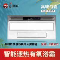 添艺顶美 智能电器 浴霸(三核动力)安全速热 强劲双核取暖浴霸卫生间 多功能浴室暖风SENSHIMD