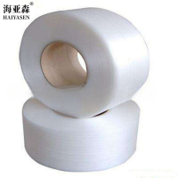 海亚森 TK-9091 打包带 全自动设备使用 PP材质全新料 厚0.8mm宽12mm 10kg 1700m