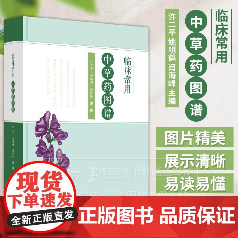 临床常用中草药图谱 许二平 姚明鹤 闫海峰 主编 解表药 清热药 祛风湿药 9787513292016中国中医药出版社