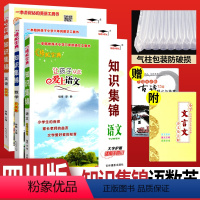 [正版]2023知识集锦四川专版语文数学英语知识大全全套3本 小学四五六年级重点知识集锦基础知识大集结小升初总复习资料
