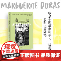 迷途 杜拉斯谈电影 玛格丽特·杜拉斯 著 传记