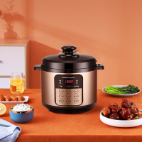 荣事达(Royalstar) 电压力锅煮粥煮饭煲汤锅电饭煲 50-90A207(LB)