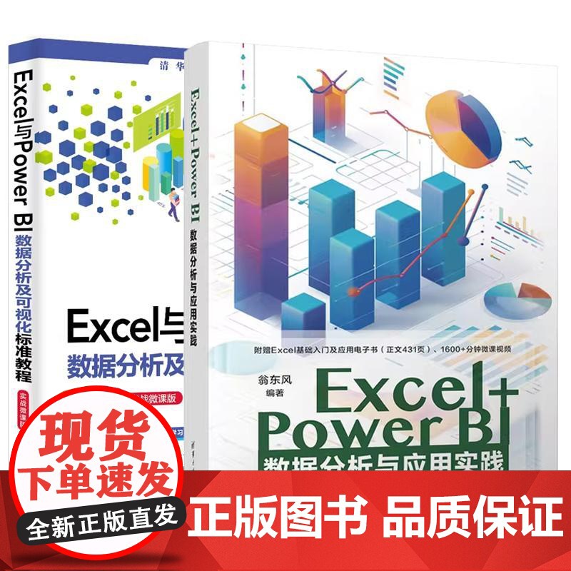 书全2册]Excel+Power BI数据分析与应用实践 翁东风+Excel与Power BI数据分析及可视化标准教程