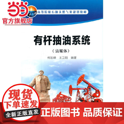 有杆抽油系统(富媒体)