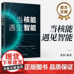 店 当核能遇见智能 核能与人工智能结合的无限潜力 人工智能在核能领域的革命性应用 核电站运行安全 可控聚变能商用书