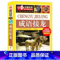 成语接龙 [正版]写给儿童的中国地理百科+世界儿童地理全书 地理书绘本dk百科全书初中青少年小学生自然科普类知识大全书环
