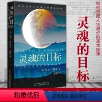 [正版]图书 灵魂的目标 大卫瑞雷著 北京立品