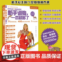 新手训狗 一本就够了 凯拉桑德斯狗狗训养系列 金毛马犬哈士奇训练狗狗教程训犬方法技巧 养狗狗狗宠物书籍大全