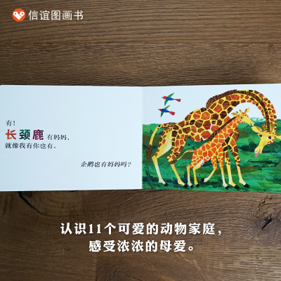 信谊图画书:宝宝起步走纸板书:袋鼠也有妈妈吗?