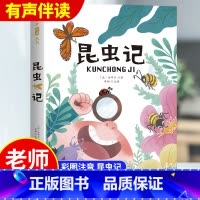 昆虫记[彩图注音版] [正版]昆虫记儿童注音完整版 法布尔原著正品彩绘版老师小学生7-8-12岁必读经典课外书籍适合二年