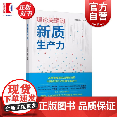 新质生产力 丁利民王珍主编上海人民出版社中国式现代化政治