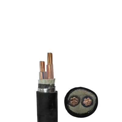 铜芯铠装电力电缆 YJV22 2*4 米