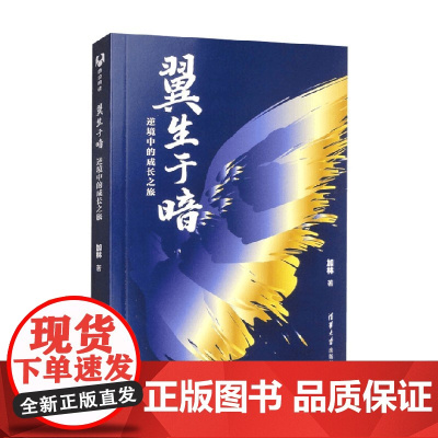 翼生于暗 加林 著 励志与成功