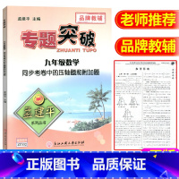 [正版]ZT332孟建平系列丛书 专题突破 九年级(数学)同步考卷中的压轴题和附加题 浙江工商大学出版社 品牌教辅