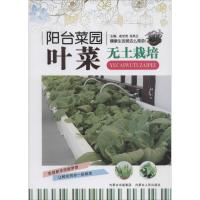 正版新书]叶菜无土栽培无9787204124770
