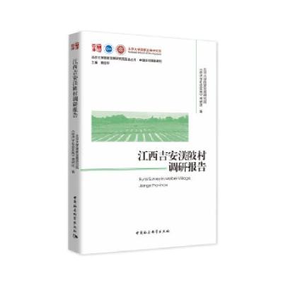 正版新书]江西吉安渼陂村调研报告北京大学国家发展研究院《经济