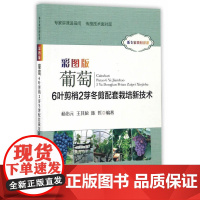 彩图版葡萄6叶剪梢2芽冬剪配套栽培新技术