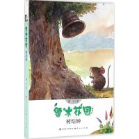 正版新书]树结钟鲁冰9787501611065