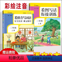 [正版]二年级上册看图写话衔接训练 看拼音写词语生字注音课文填空共2本 人教版 看图说话 小学同步训练练习册 语文教辅