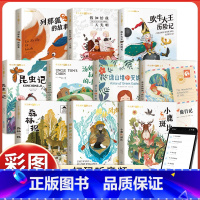 [全10册]国际获奖小说全套 [正版]国际获奖小说必读注音版绿山墙的安妮汤姆叔叔小屋吹牛大王历险记小鹿斑比柳林风声列那狐