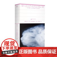 捕云记 世界文学新标杆多和田叶子亲身经历改编魅惑奇作蕾克译广西师范大学出版社日本现代长篇小说奇异冒险故事集