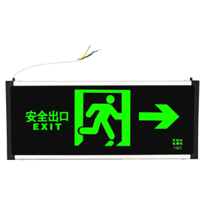 虎光风行 应急工作灯标志灯 HGFX-8060 YINGJI 照明功率5W 黑色