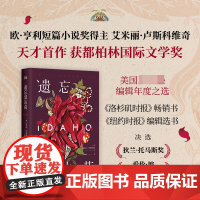 遗忘爱达荷 天才首作一举夺得都柏林文学奖 一段颠覆认知的三角关系,一场始于男人却不止于此的女性情谊