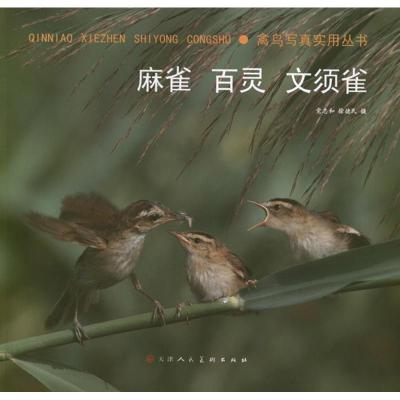 [M]禽鸟写真实用丛书:麻雀.百灵.文须雀-9787530548691