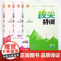 套装3册 2024秋拔尖特训三年级语文数学英语上册人教版 三年级语文数学英语教材同步训练讲解实验班提优训练辅导书 通城