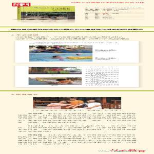 [M]幼儿园户外环境创设与活动指导-9787518419357