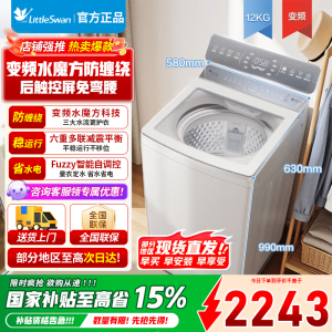 小乌梅2.0波轮洗衣机全自动 12公斤家用水魔方防缠绕TB12VE20DW