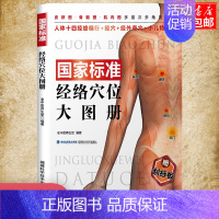 [正版]赠刮痧板国家人体标准经络穴位大图册人体经络穴位图解书中医养生按摩保健推拿女性经络穴位按摩大全穴位按摩养生书籍