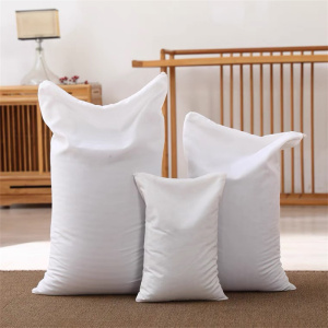 荞麦枕芯 枕头 40*70cm 个