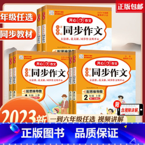 [上册]同步练字帖 小学四年级 [正版]2023秋新版小学生人教版语文同步作文一二三四五六年123456级上册下册写作素