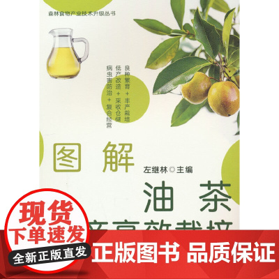 图解油茶丰产高效栽培