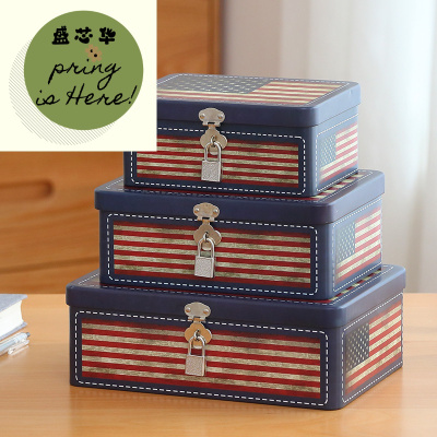 新款密码锁盒子收纳盒桌面装饰化妆品迷你带锁办公室存钱罐储蓄罐铁盒惠恩HuiEn