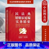 [正版]中法图 民法典婚姻家庭编实务精要 裁判观点与证据梳理 中国法制 新民法典婚姻家庭司法实务律师法官办案工作参考