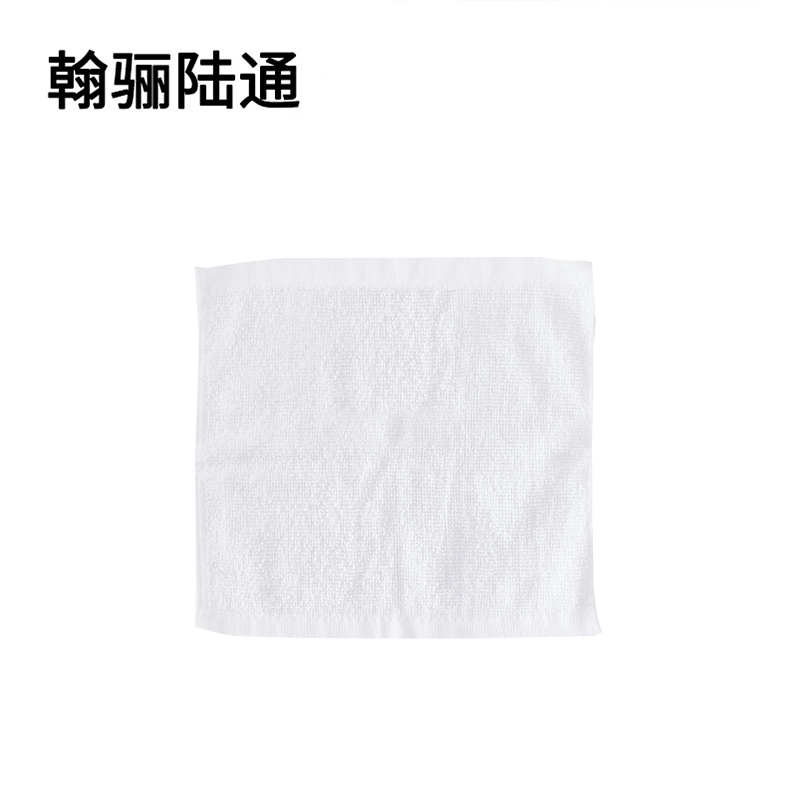 翰骊陆通 加厚纯棉全棉小方巾擦拭布抹布 白色30cm*30cm 条