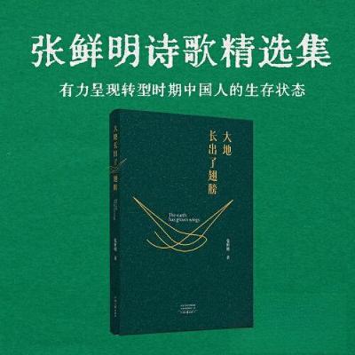 正版新书]大地长出了翅膀张鲜明9787555917311