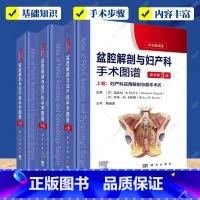 盆腔解剖与妇产科手术图谱(上中下)(原书第5版) [正版]盆腔解剖与妇产科手术图谱上中下卷中文翻译版原书第5版妇产科应用