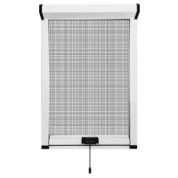 诚智旺 铝合金隐形纱窗 1平内/个