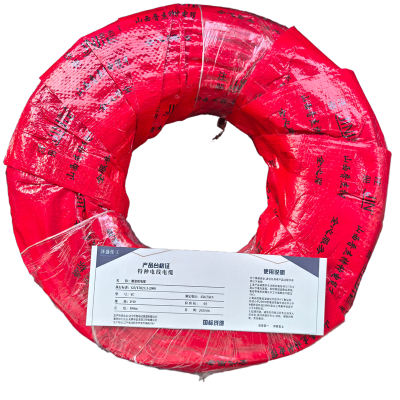 泽盛佳工 橡套软电缆 YC 2*10(米) 国标